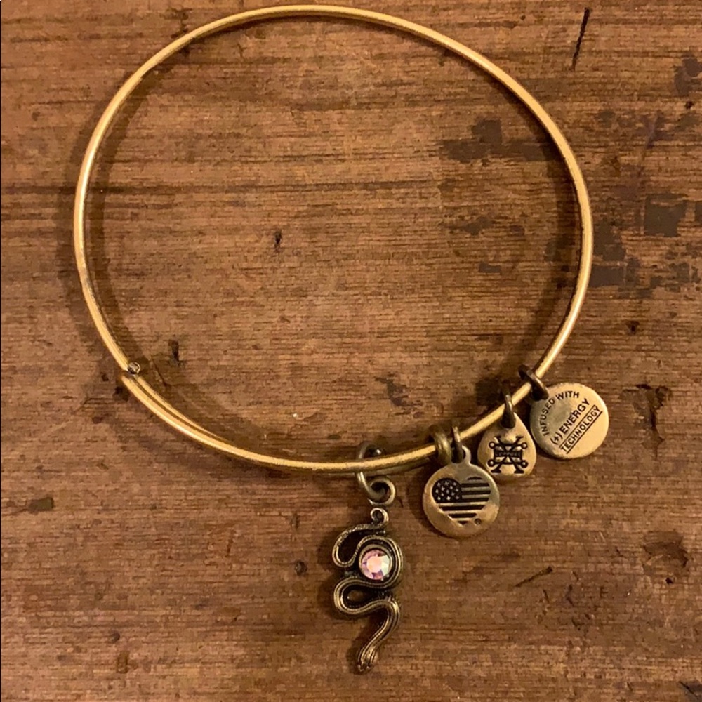 Alex and Ani snake bracelet.